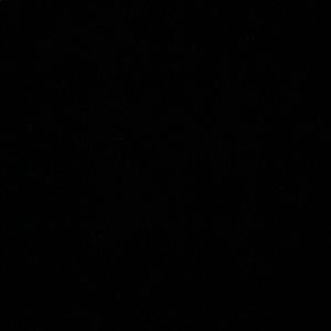 Meet your Posher, Millie